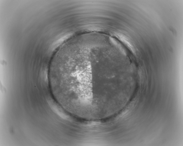 X0000091180398200708091226