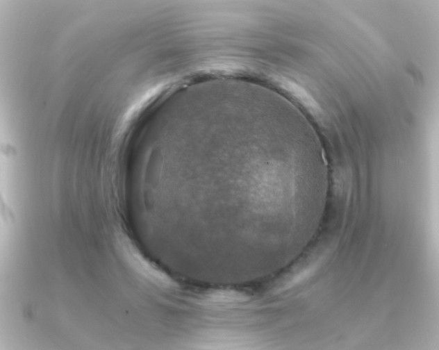 X0000091180399200708091226
