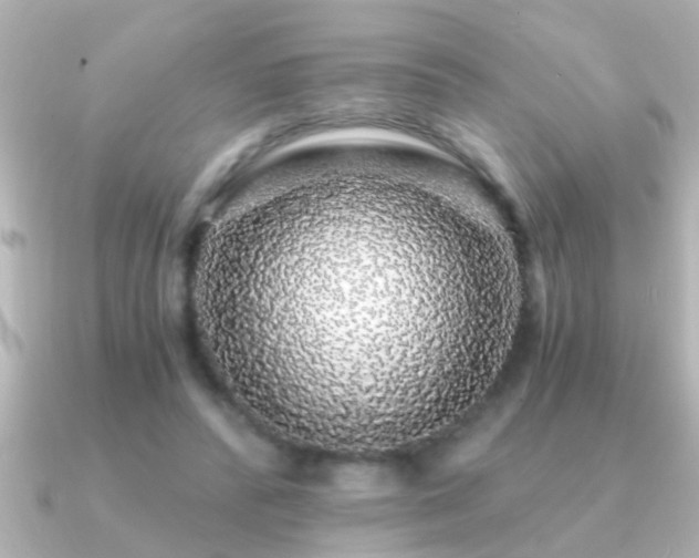 X0000091180400200708091226