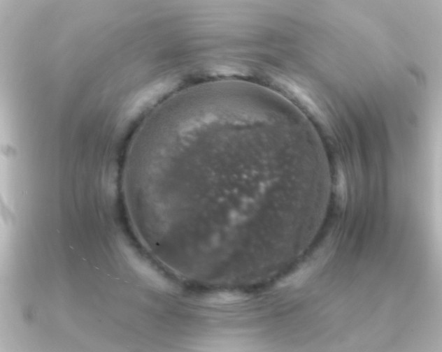 X0000091180402200708091226