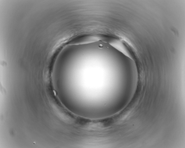 X0000091180403200708091225