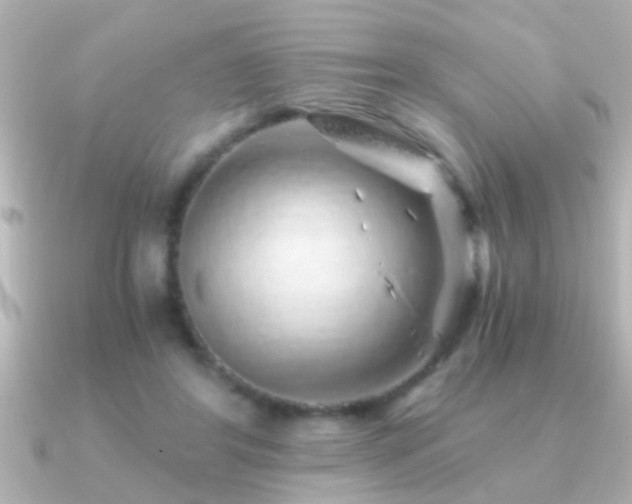 X0000091180404200708091225