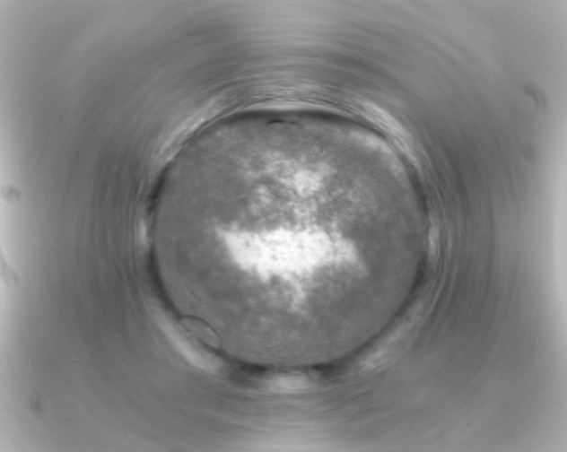 X0000091180405200708091225