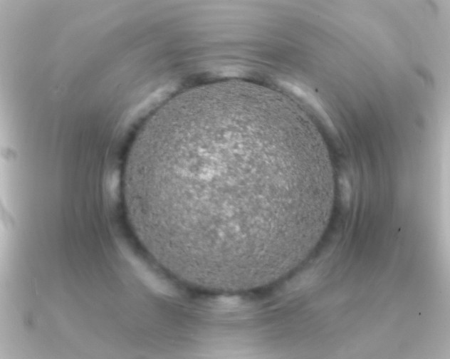 X0000091180406200708091225