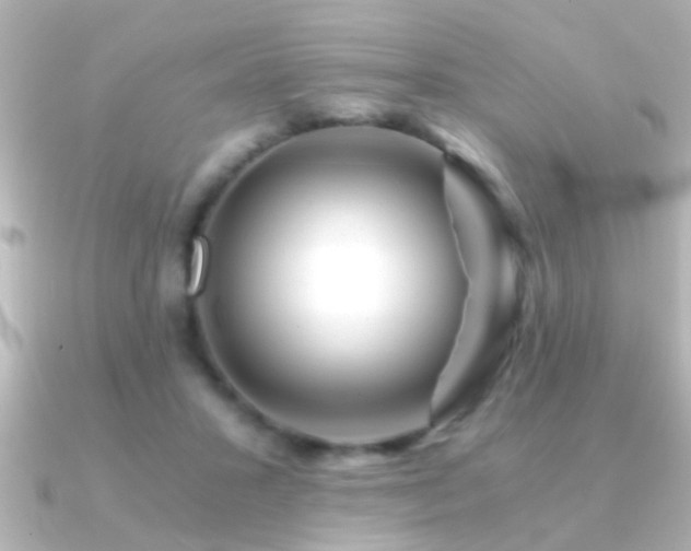 X0000091180407200708091225