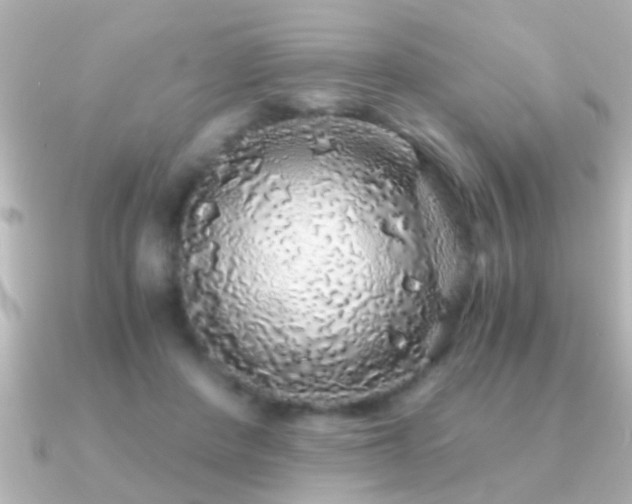 X0000091180408200708091225
