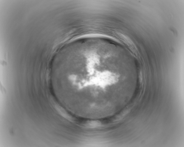 X0000091180409200708091225
