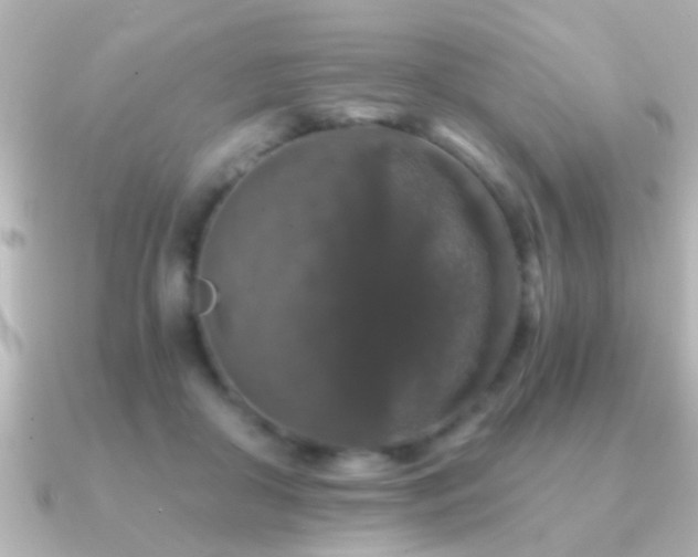 X0000091180410200708091225