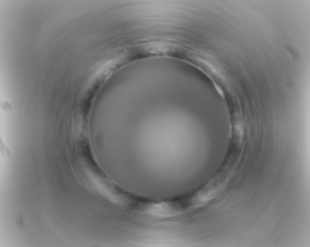X0000091180411200708091225