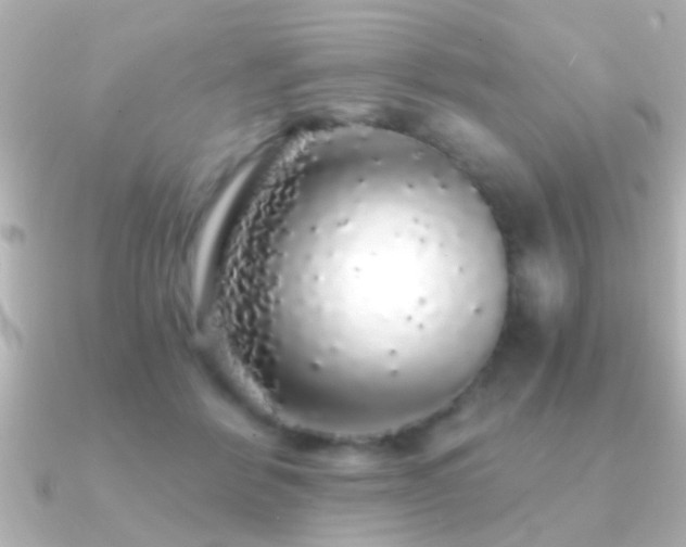 X0000091180412200708091225