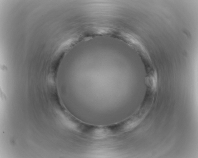 X0000091180415200708091225