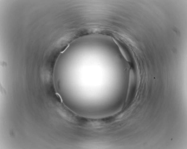 X0000091180417200708091225