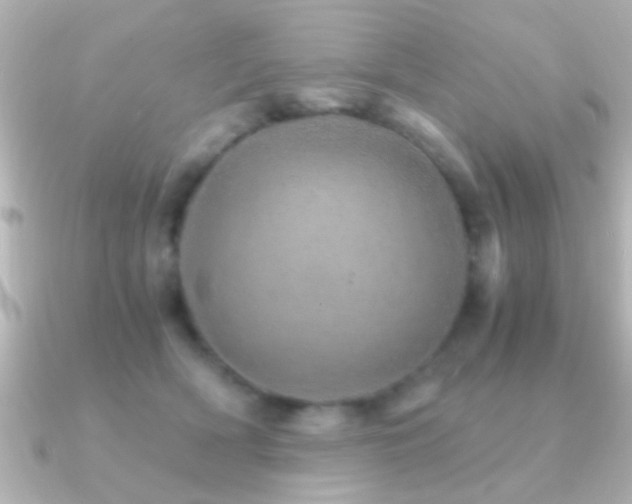 X0000091180418200708091225