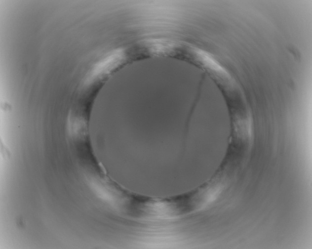 X0000091180419200708091225
