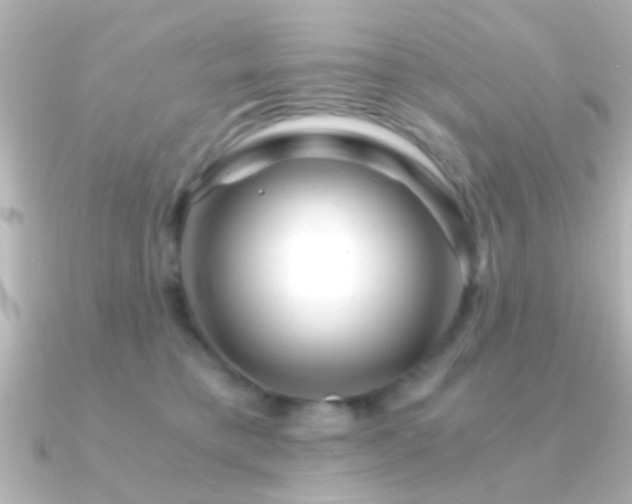 X0000091180421200708091225