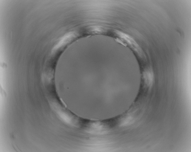 X0000091180423200708091225
