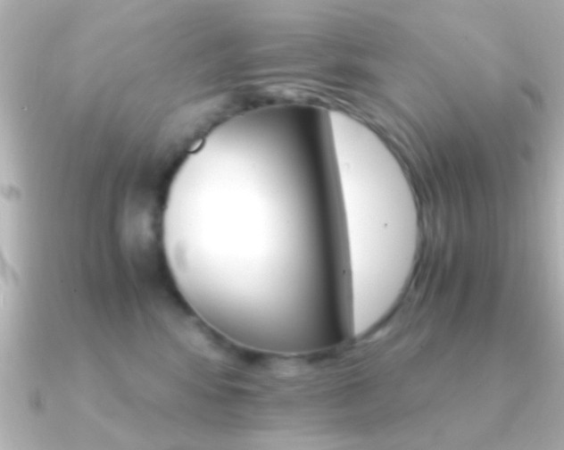 X0000091180424200708091225