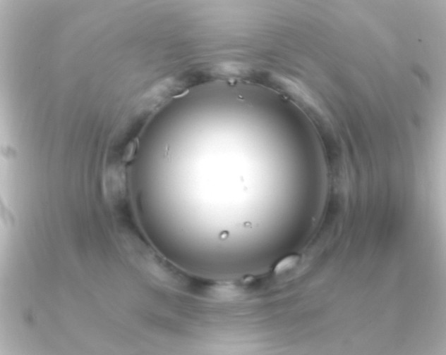 X0000091180425200708091225