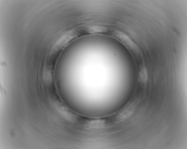 X0000091180426200708091225