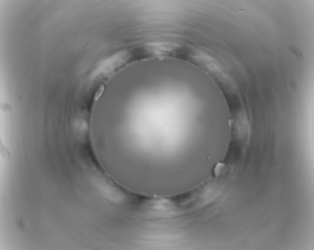 X0000091180427200708091225
