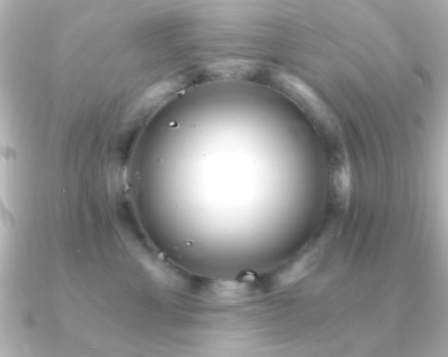 X0000091180429200708091225