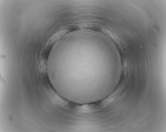 X0000091180430200708091225