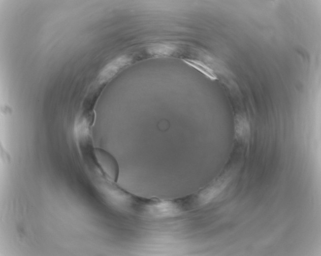 X0000091180431200708091225