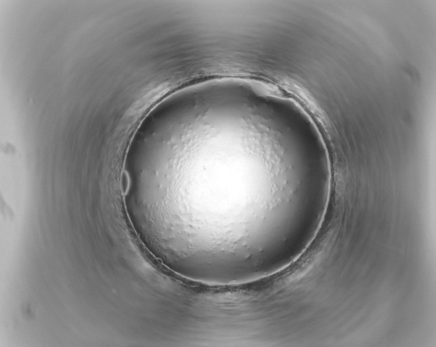 X0000091180433200708091225