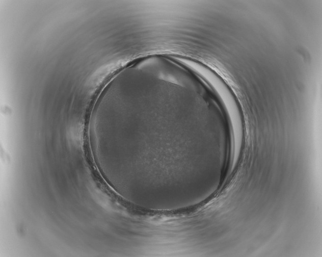 X0000091180434200708091225
