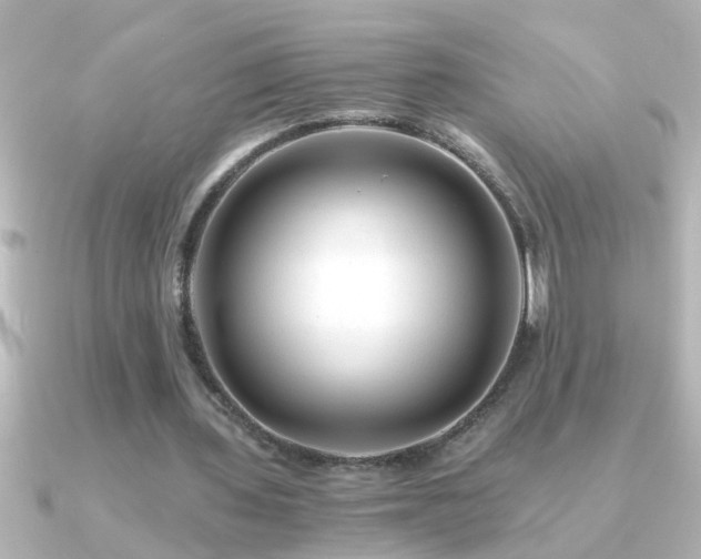 X0000091180435200708091225
