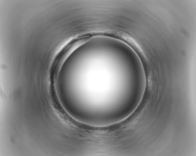 X0000091180436200708091225
