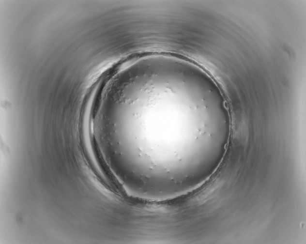 X0000091180437200708091225