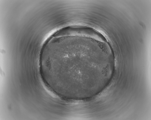 X0000091180438200708091225