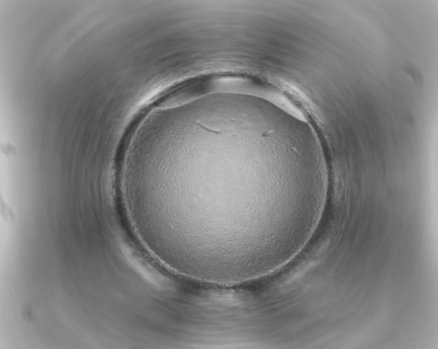 X0000091180439200708091225