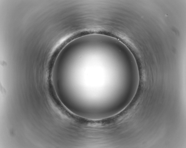 X0000091180440200708091225