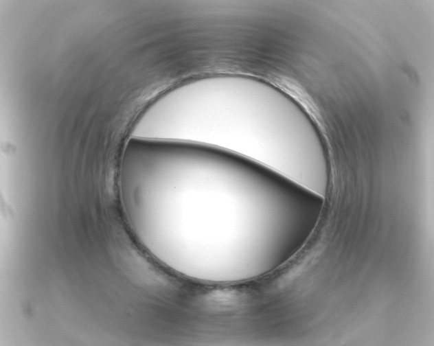 X0000091180441200708091225