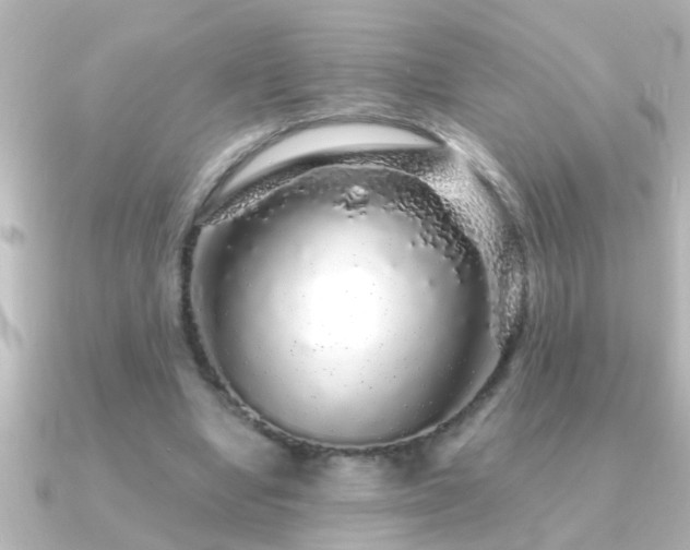X0000091180442200708091225