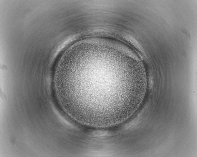 X0000091180444200708091225