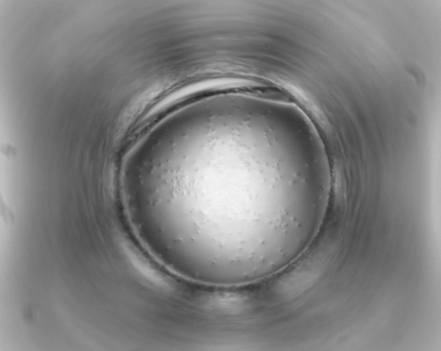 X0000091180445200708091225