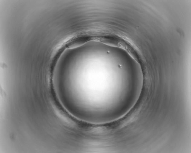 X0000091180446200708091225