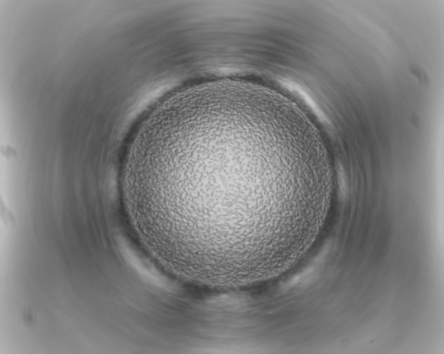 X0000091180447200708091225