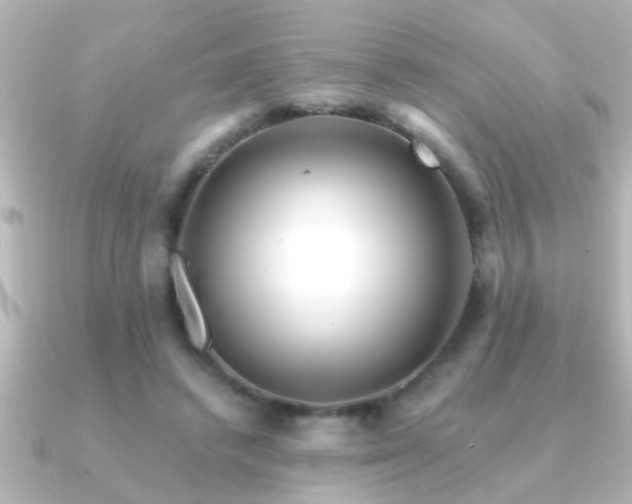 X0000091180448200708091225