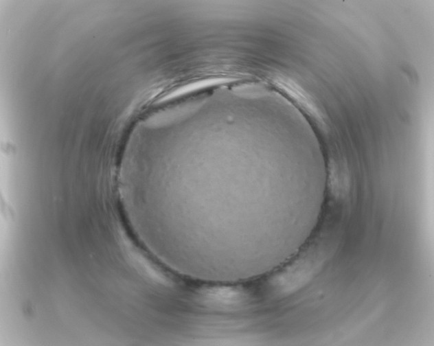 X0000091180449200708091225
