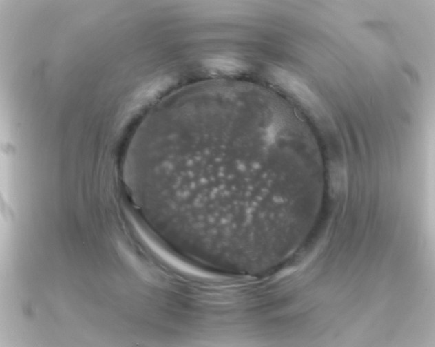 X0000091180451200708091225