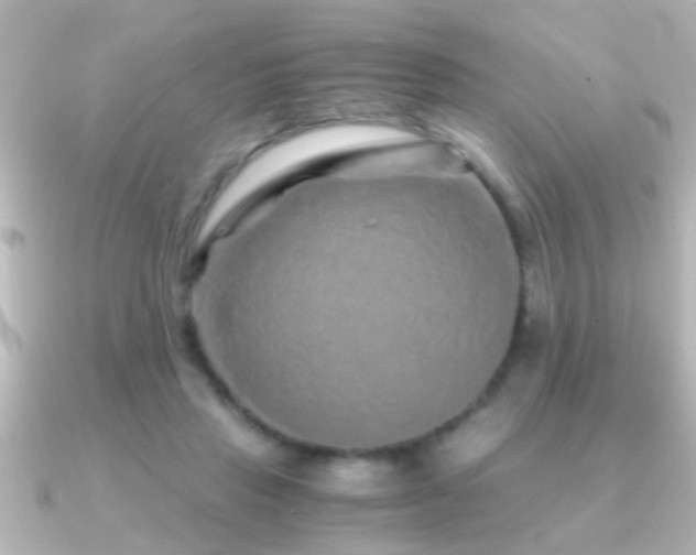 X0000091180453200708091225
