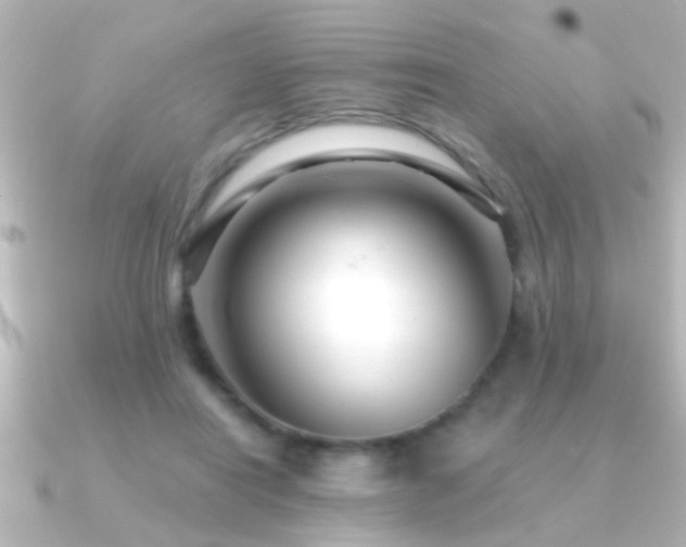 X0000091180454200708091225