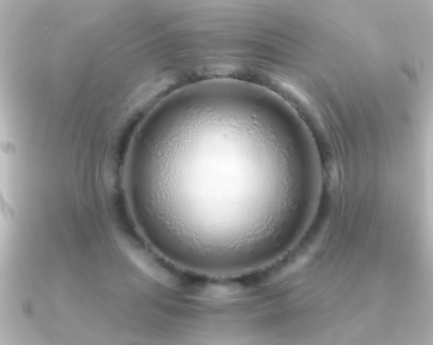 X0000091180455200708091225