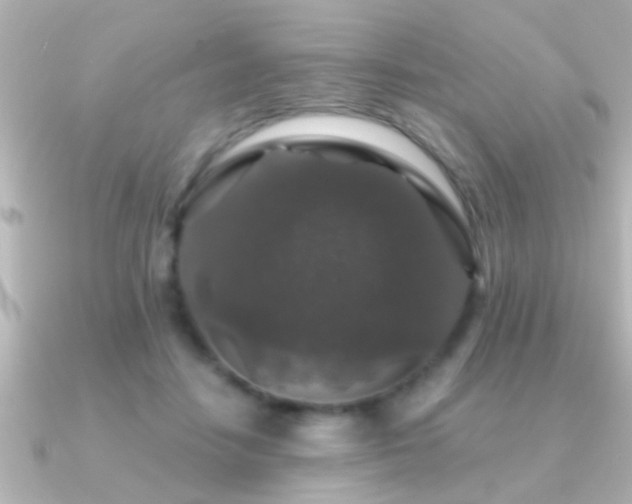 X0000091180458200708091225