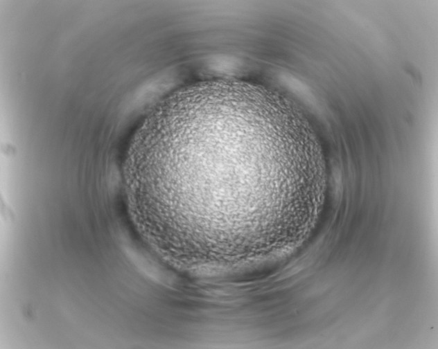 X0000091180459200708091225