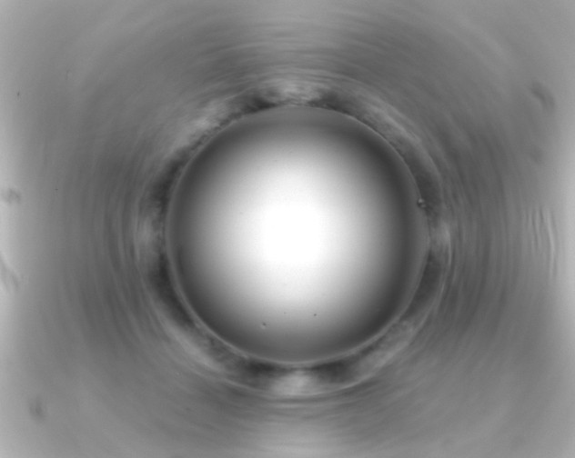 X0000091180460200708091225